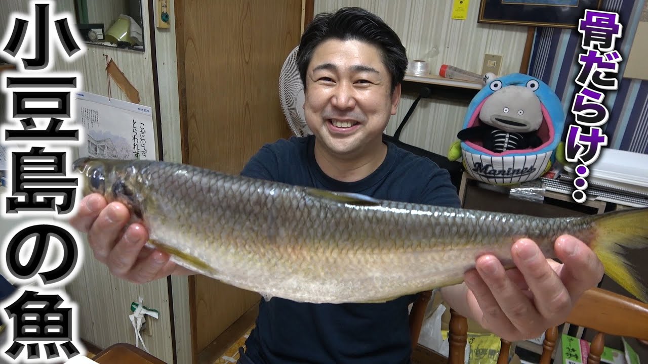 はまゆうくんから届きました！愛知では獲れない魚！美味しいけど問題があるんです…。