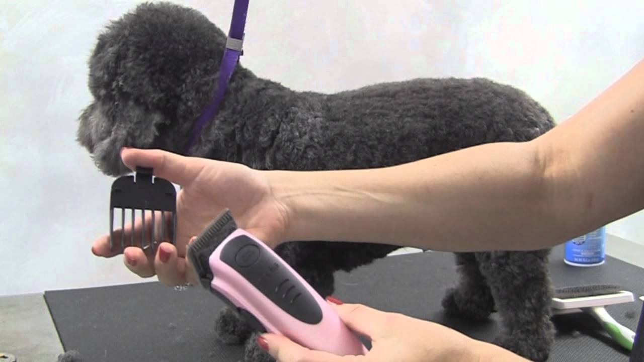 Easy Clip Versa