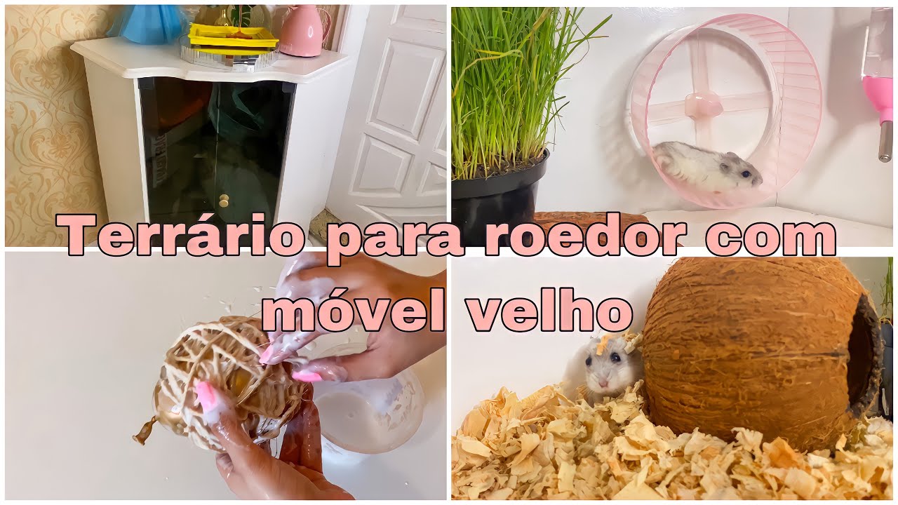 Transformei um móvel velho em um terrário para hamster | incrível 🤩