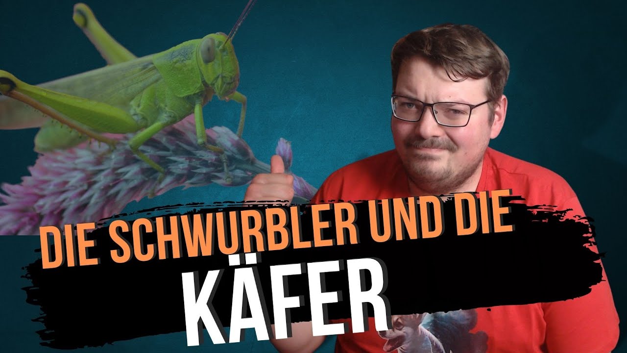 Querdenken: Jetzt kommt die Angst vor Insekten
