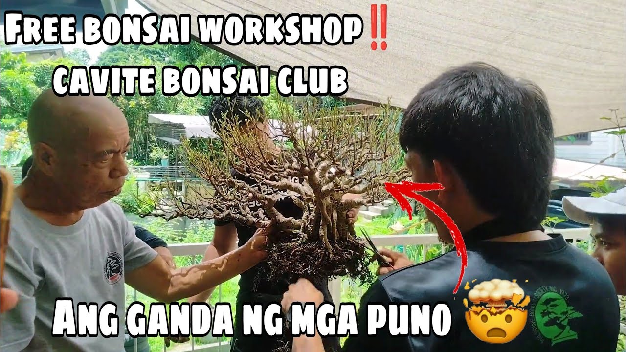 Free Bonsai Workshop | Bonsai Visit sa mga Mamaw na puno💪 | PART 1‼️ | Bonsaian Tv