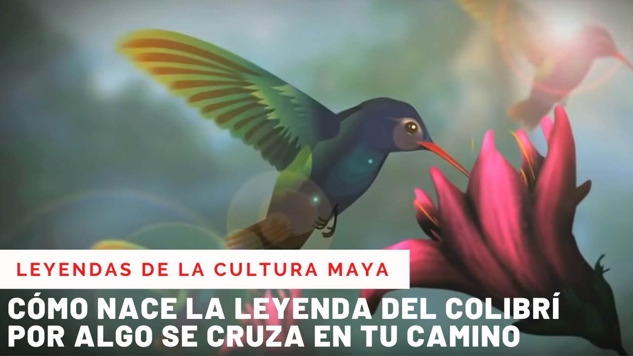 LA LEYENDA DEL COLIBRÍ