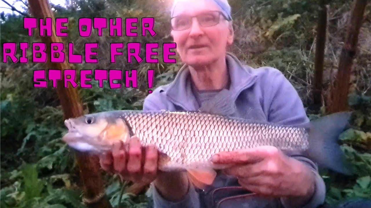 Silver Service on the Tidal River Ribble - Urban coarse fishing.