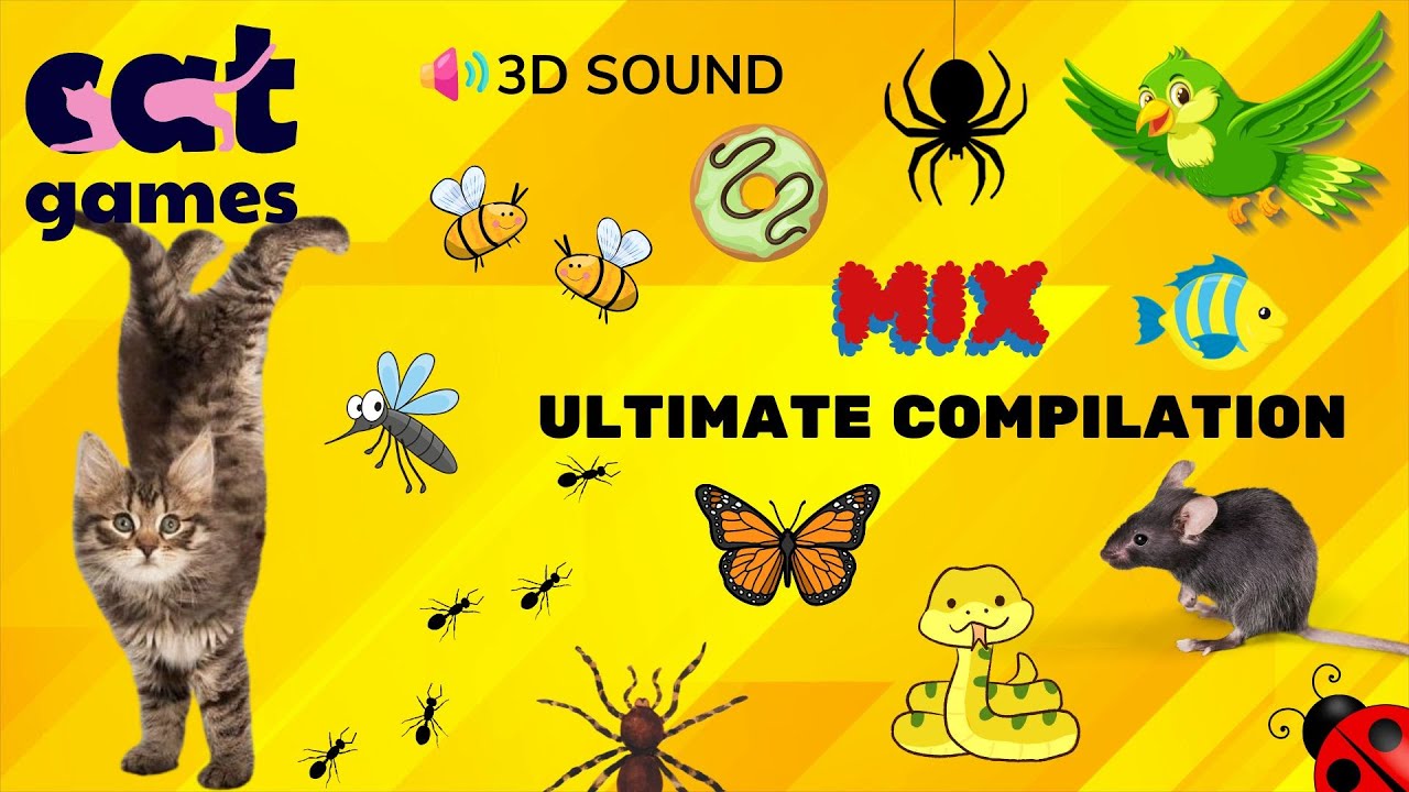 CAT GAMES - MIX 2 Ultimate Compilation 🙀 Game for cats 🐝 🐭🪳