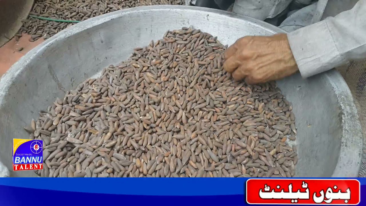 Why North Waziristan's Chalgoza are famous in all over World? | Bannu Talen|