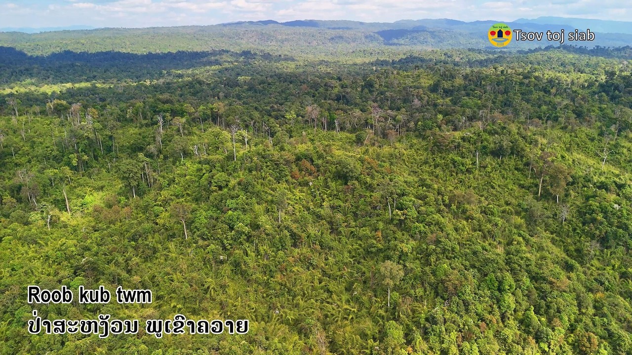 Roob kub twm #Phoukhaokhuy Тропический лес, Лаос