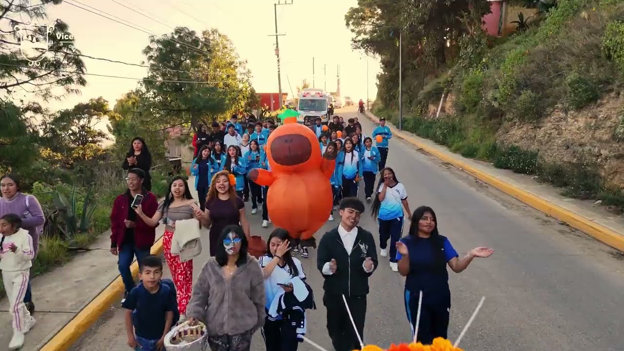 Desfile Catrinas H. Ayuntamiento de Vicente Guerrero 2024-2027