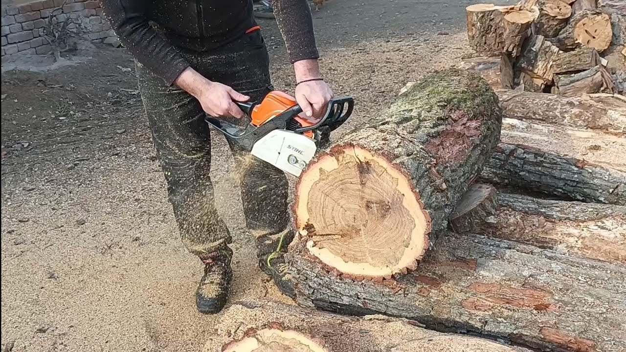 stihl ms 170