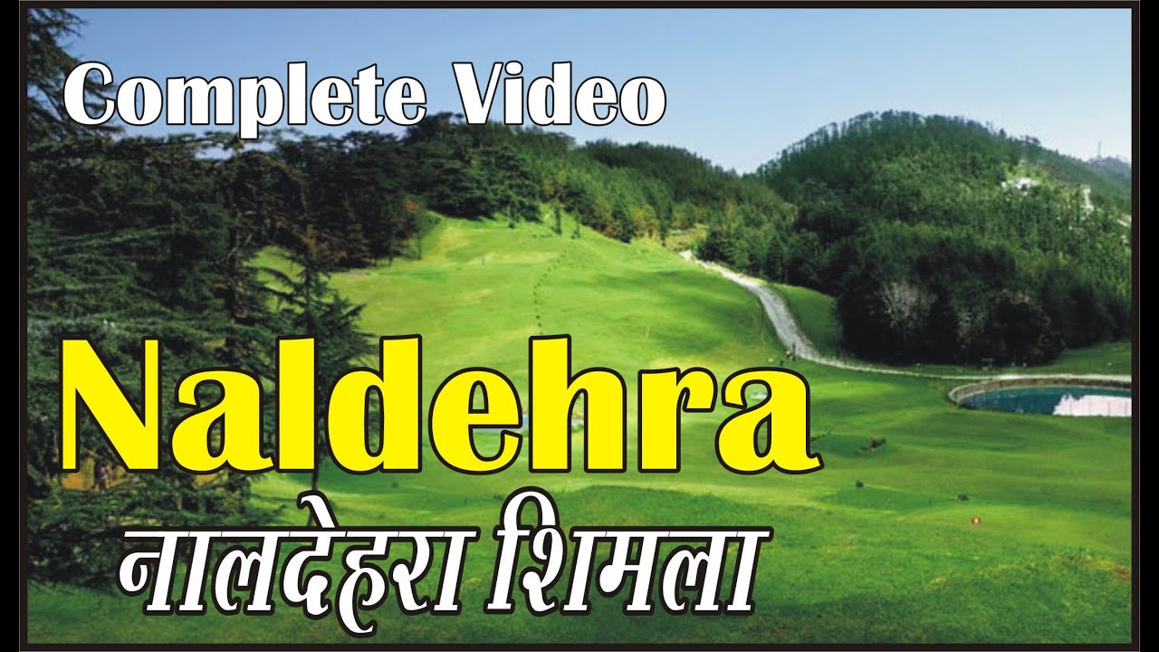 Naldehra Shimla || Naldehra Golf Course || नालदेहरा शिमला ||Mashobra, Shimla, Himachal Pradesh ||
