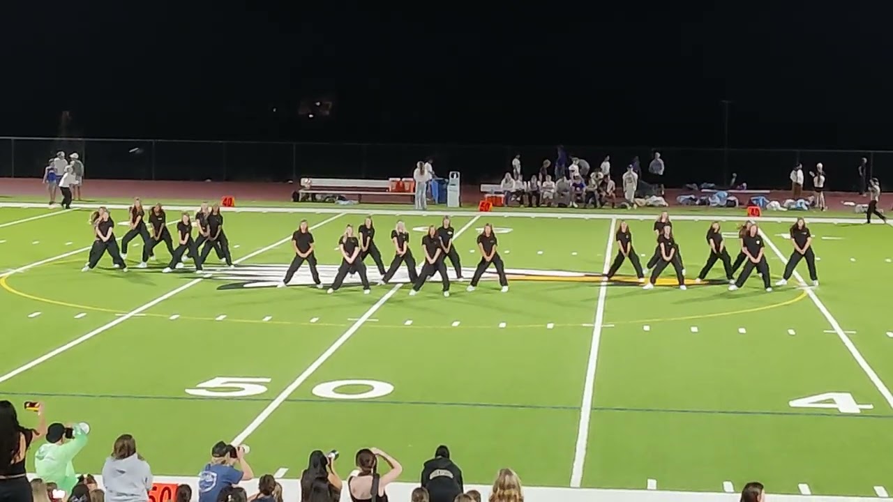 OPHS Dance Team