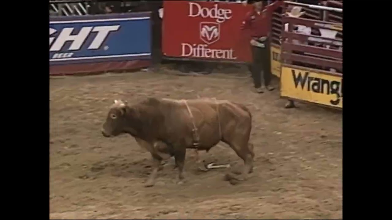 Scorpion bucks Jesse Schellhamer - 00 PBR Cleveland