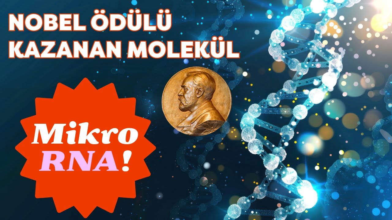 Mikro-RNA nedir? Ne işe yarar?