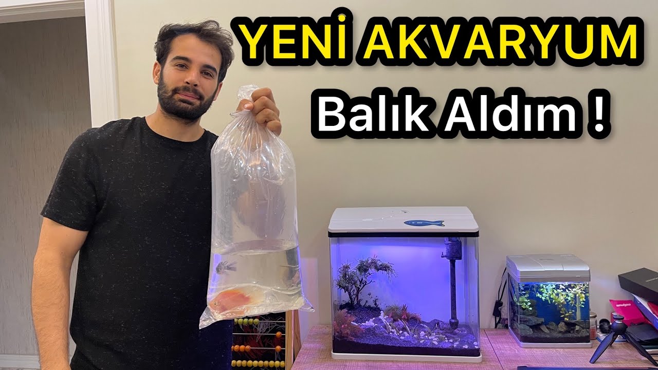 YENİ AKVARYUM YAPTIK - EFSANE OLDU!