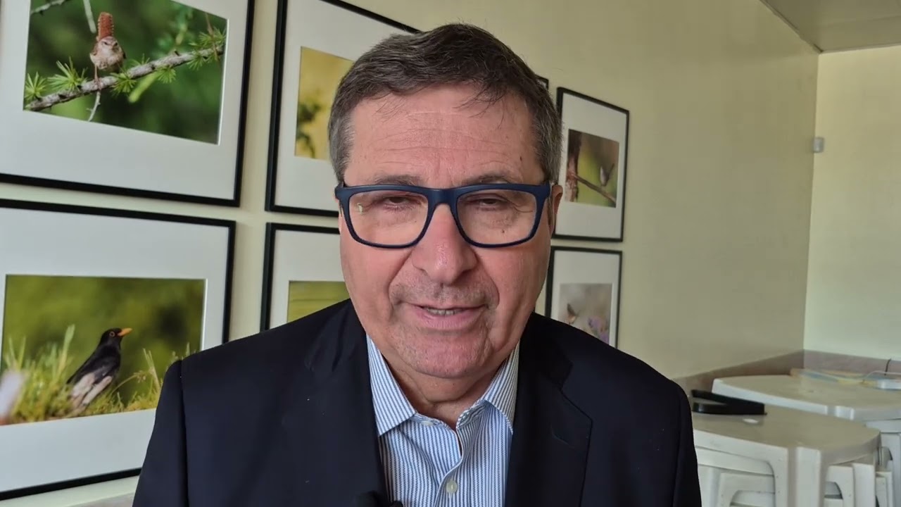 Intervista David Ermini