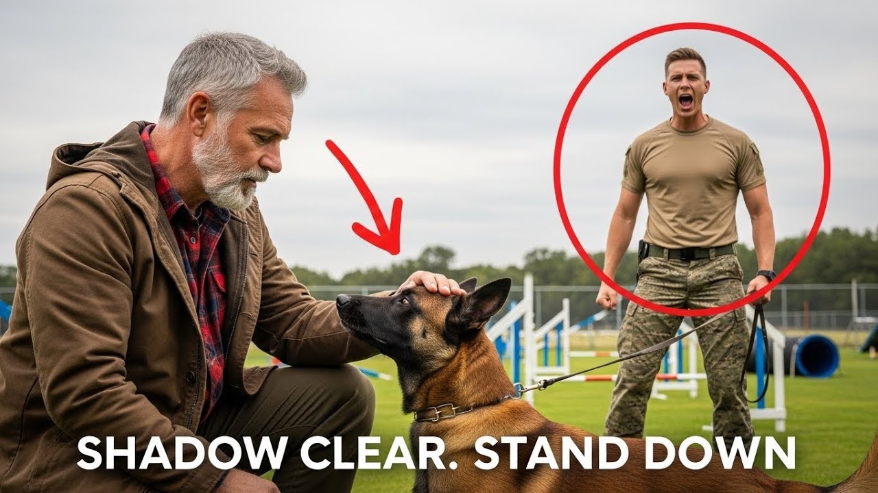 The Military K9 Obeyed No One — Until a Homeless Veteran Spoke