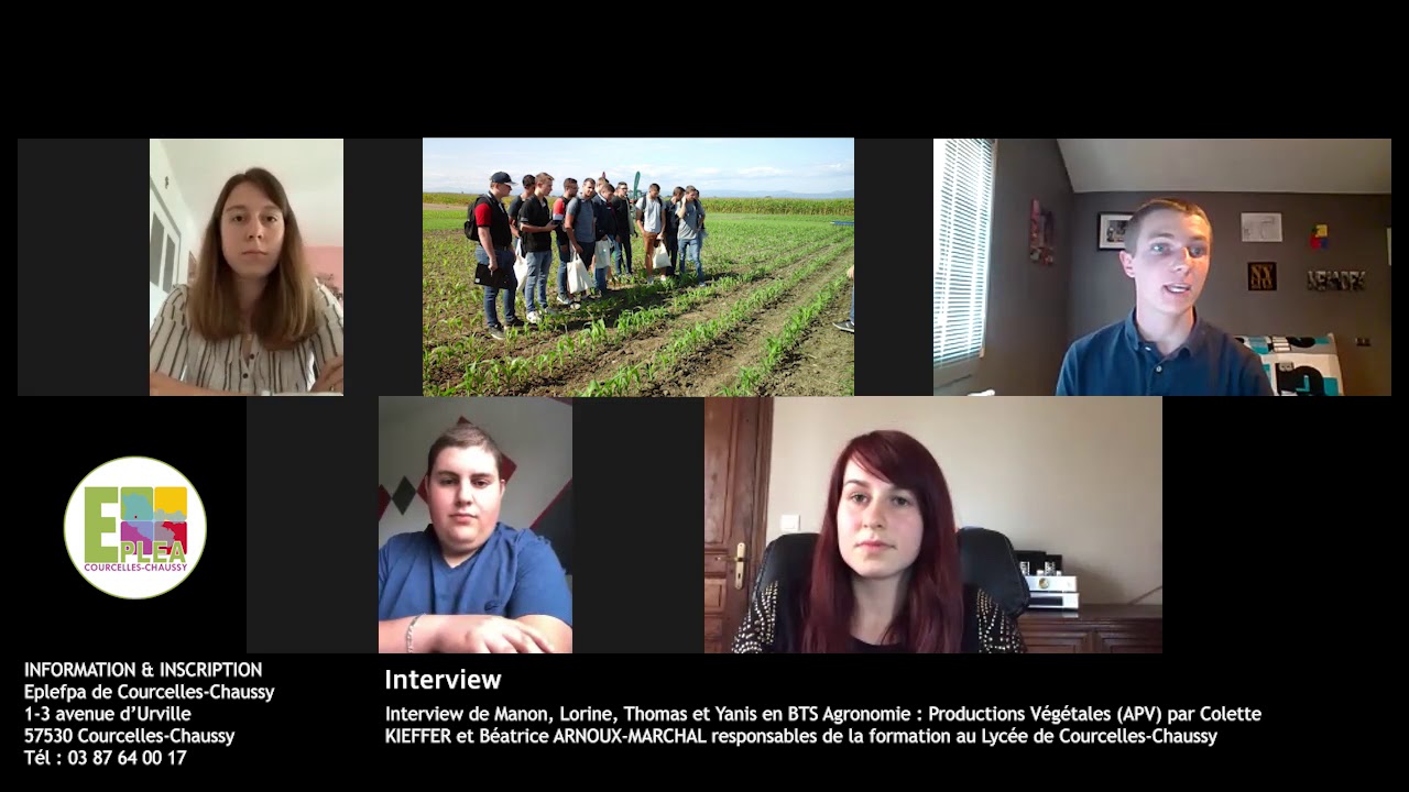 Interview de Manon, Lorine, Thomas et Yanis en BTS Agronomie : Productions Végétales (APV)