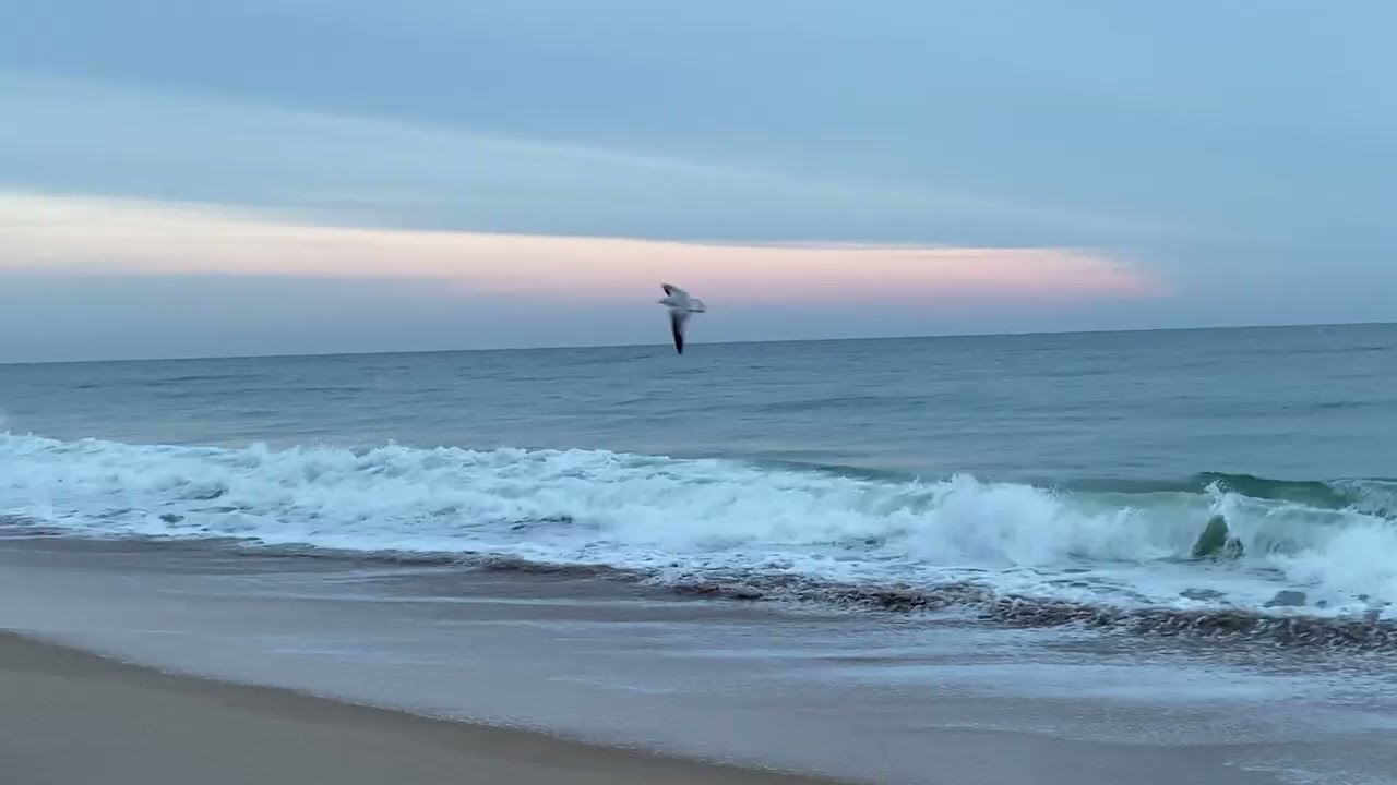 🌴 Relaxing Ocean Views Walking Flagler Beach, FL | Ocean Sounds & Coastal Scenery