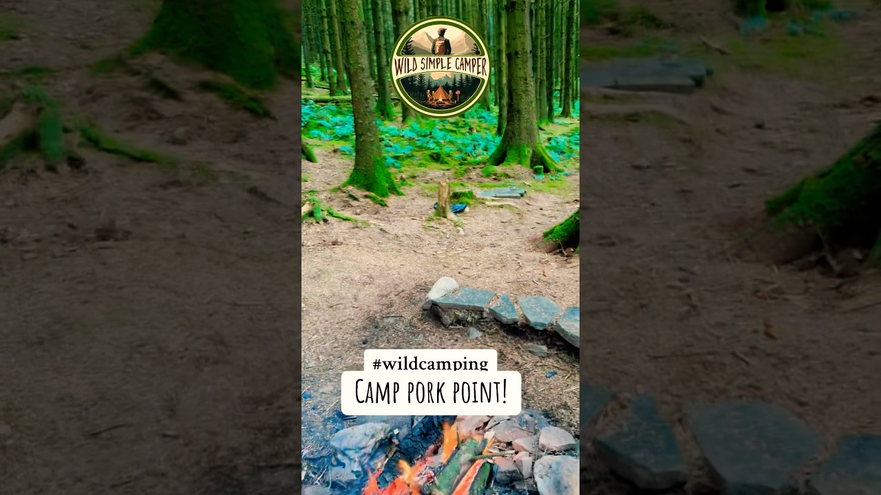 Our Best wildcamp location AKA PORKPOINT #camping #adventure #wales