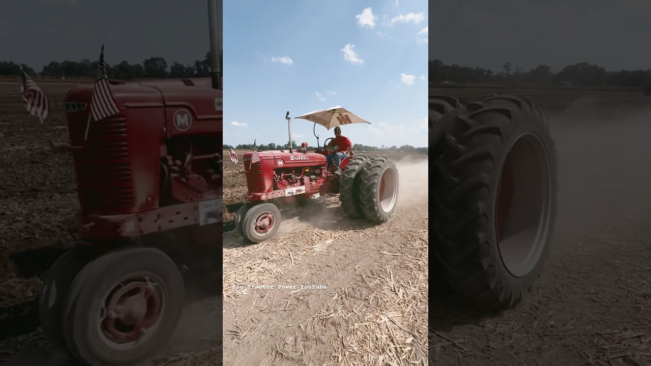 IH FARMALL M Tractor Plowing #bigtractorpower #internationalharvester #farmall #tractor #automobile