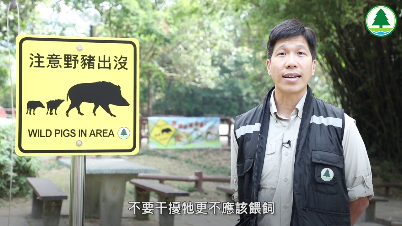 MM Creation 漁農自然護理署AFCD -【野豬出沒注意】郊野公園增標示提醒遊客