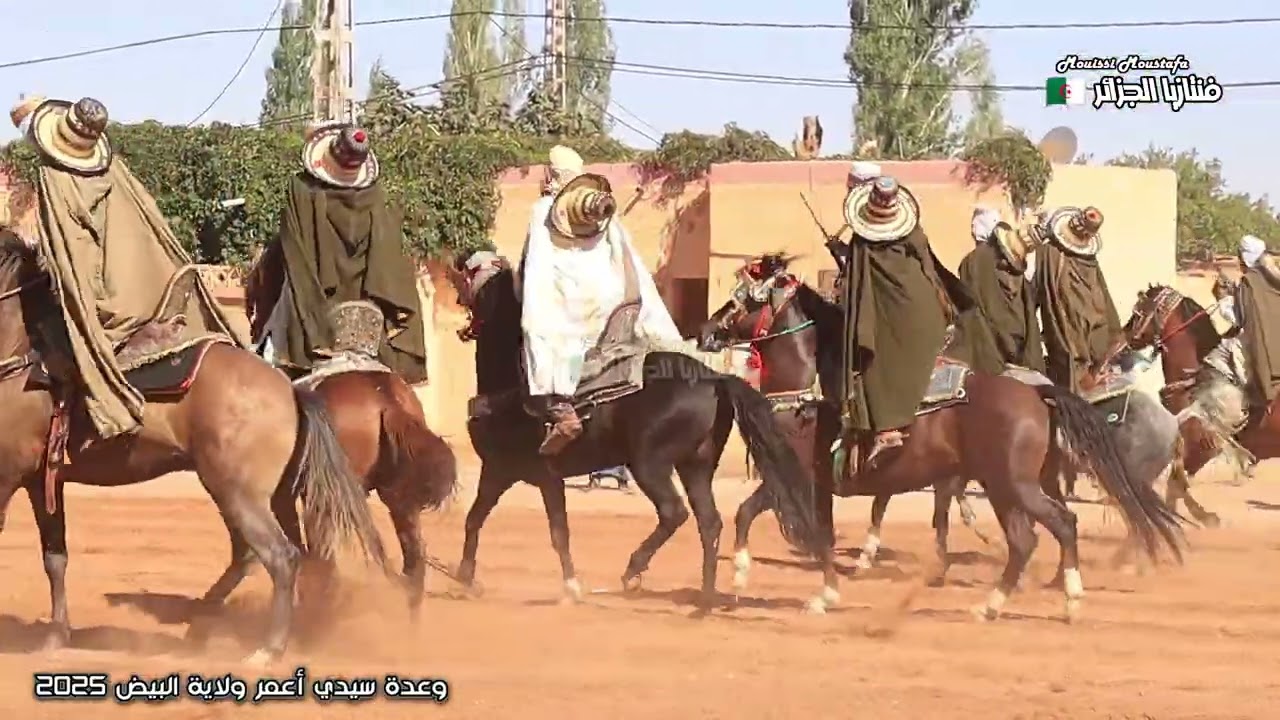 ملخص شامل لعروض الفنتازيا من وعدة سيدي أعمر ولاية البيض 2025 الجزء الثالث