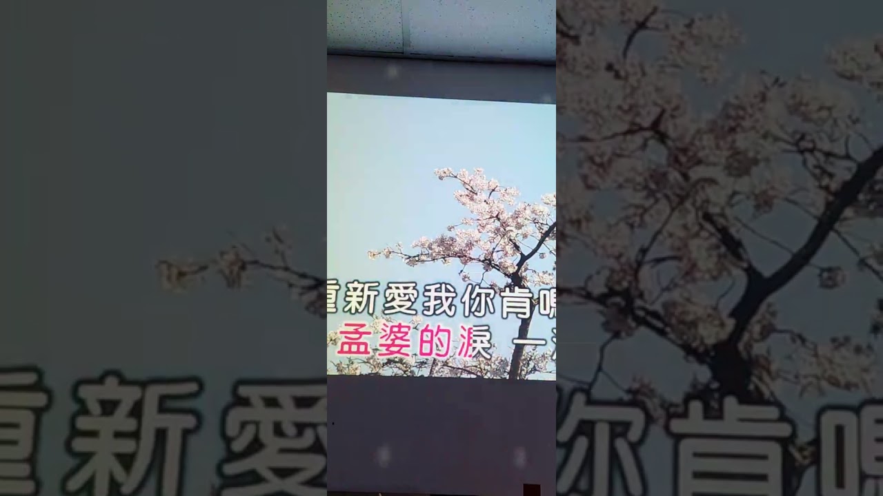 115.02.11.南區幸福21三樓.雪錦:夢婆淚~