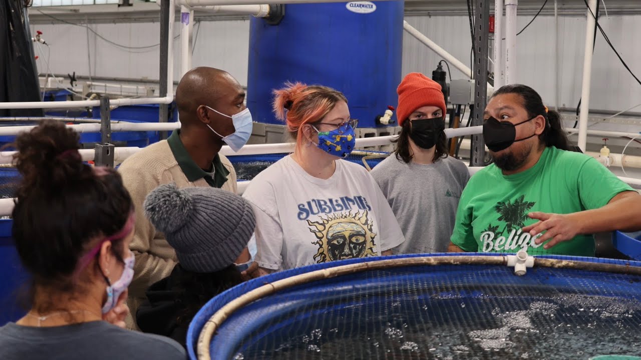 Fish Reproduction Lab