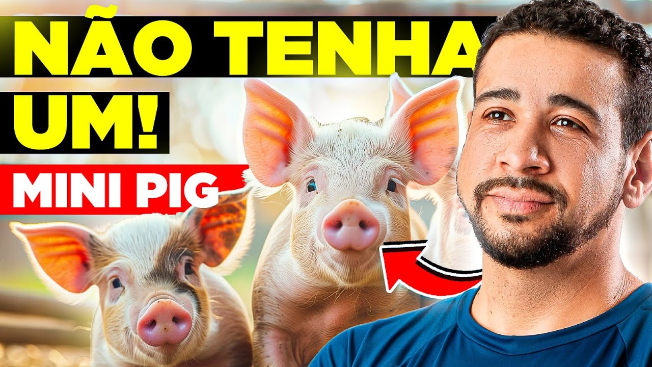 NÃO TENHA UM MINI PIG ANTES DE ASSISTIR ESTE VÍDEO!