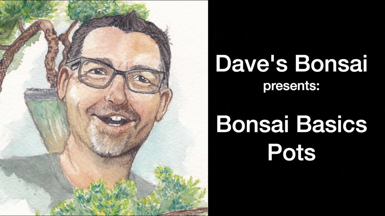 Bonsai Basics:  Pottery