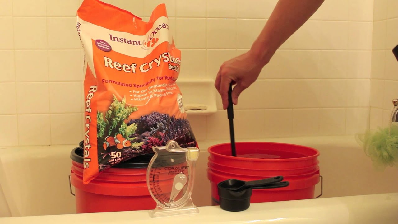 Making Saltwater for Home Aquarium