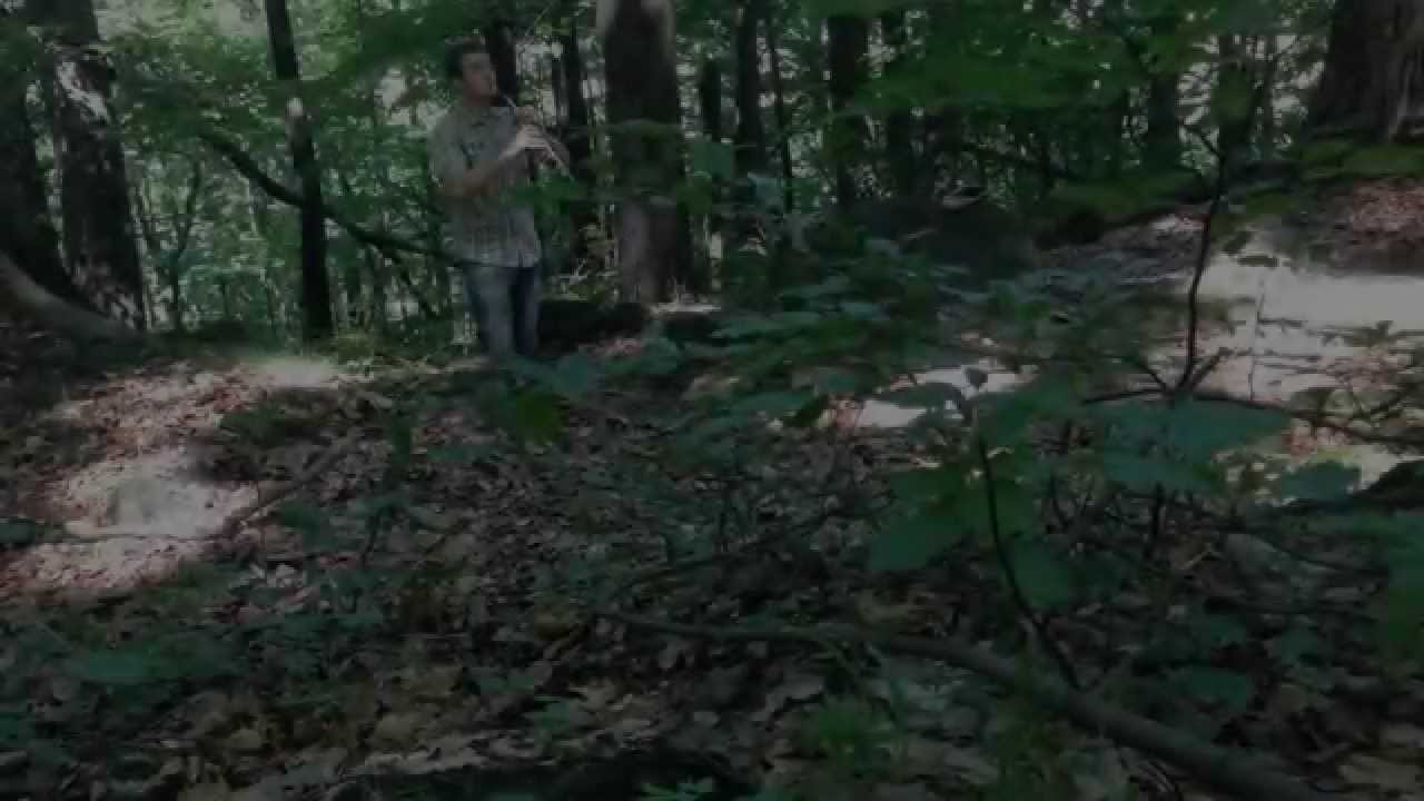 Waldimprovisation f&uuml;r Oboe und V&ouml;gel