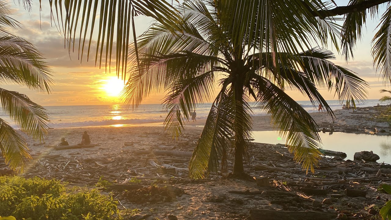 Pura Vida (26/31)