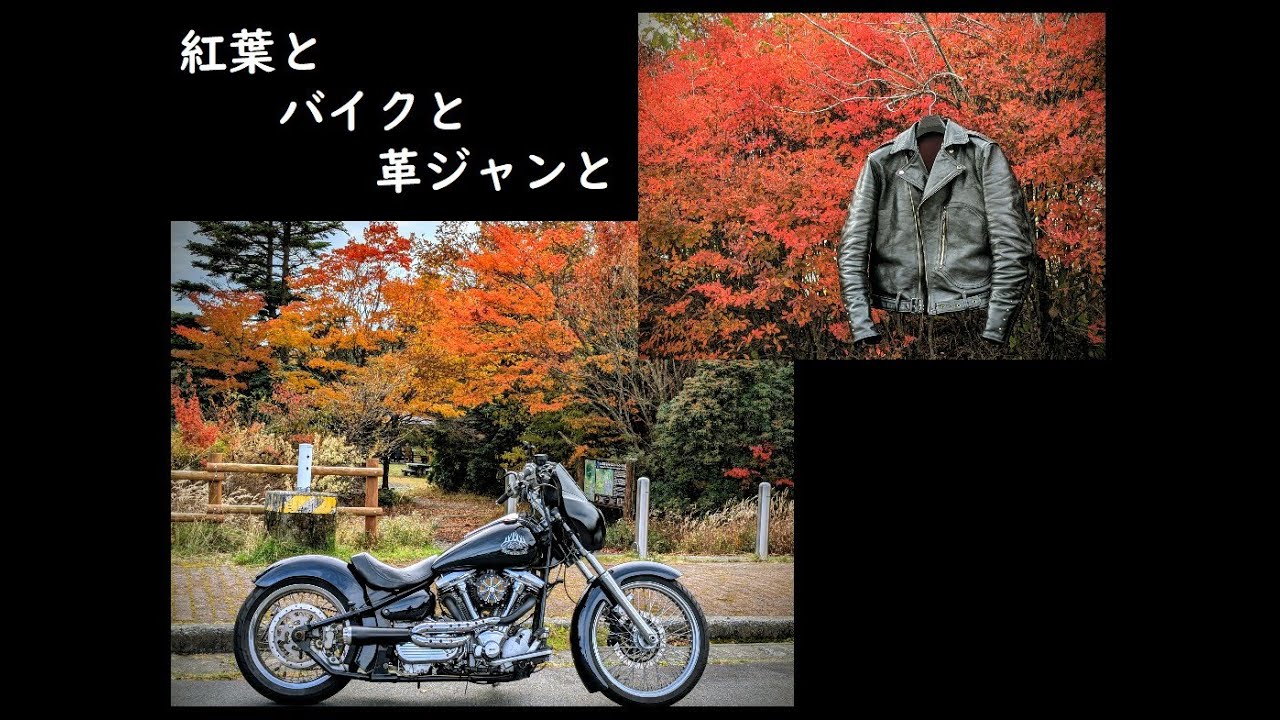 紅葉とバイクと革ジャンと 週末ソロツーリング XV1600