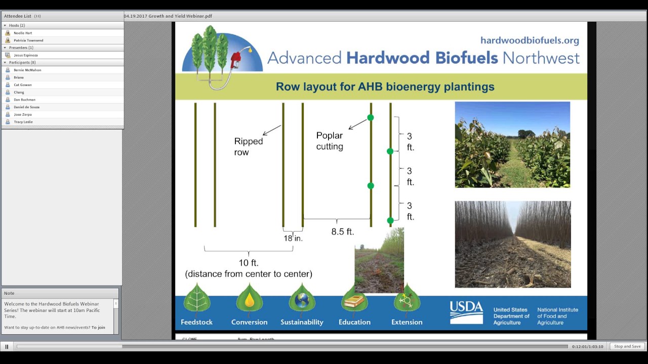 Webinar: Cream of the Coppice - Hybrid Poplar Yields During the Establishment and Coppice Cycles