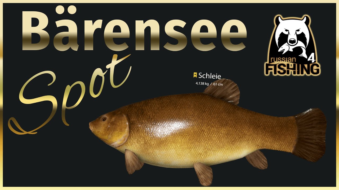 RF4 Karpfen-Schleie-Barben Spot am Bärensee 2022