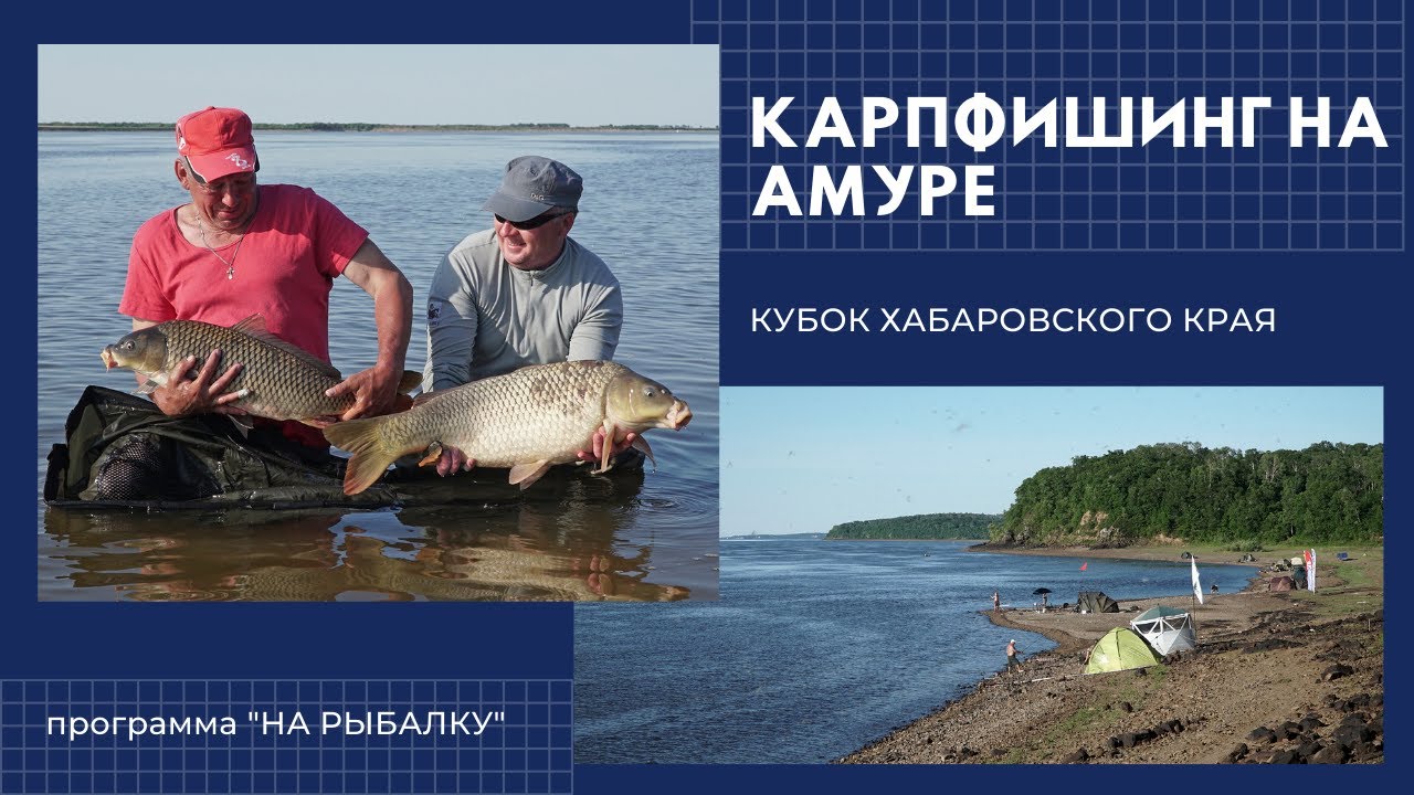 Карпфишинг на реке Амур. Кубок Хабаровского края 2018