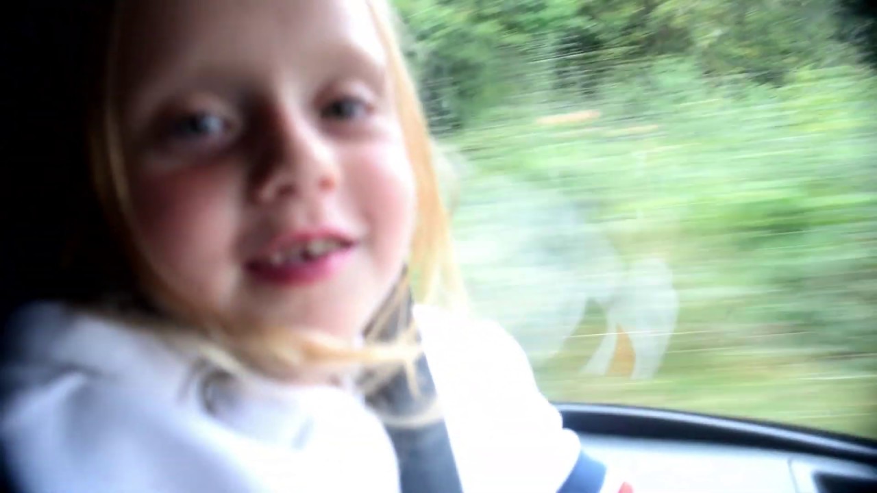 Roadtrip with Theresa to Tullamore and Clonaselle Show 2019