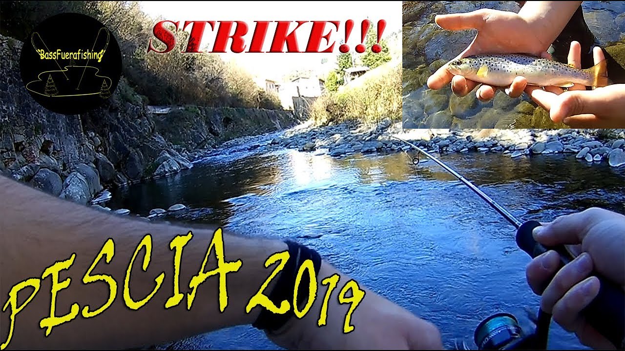 A PESCA NEL PESCIA DI PESCIA ;)