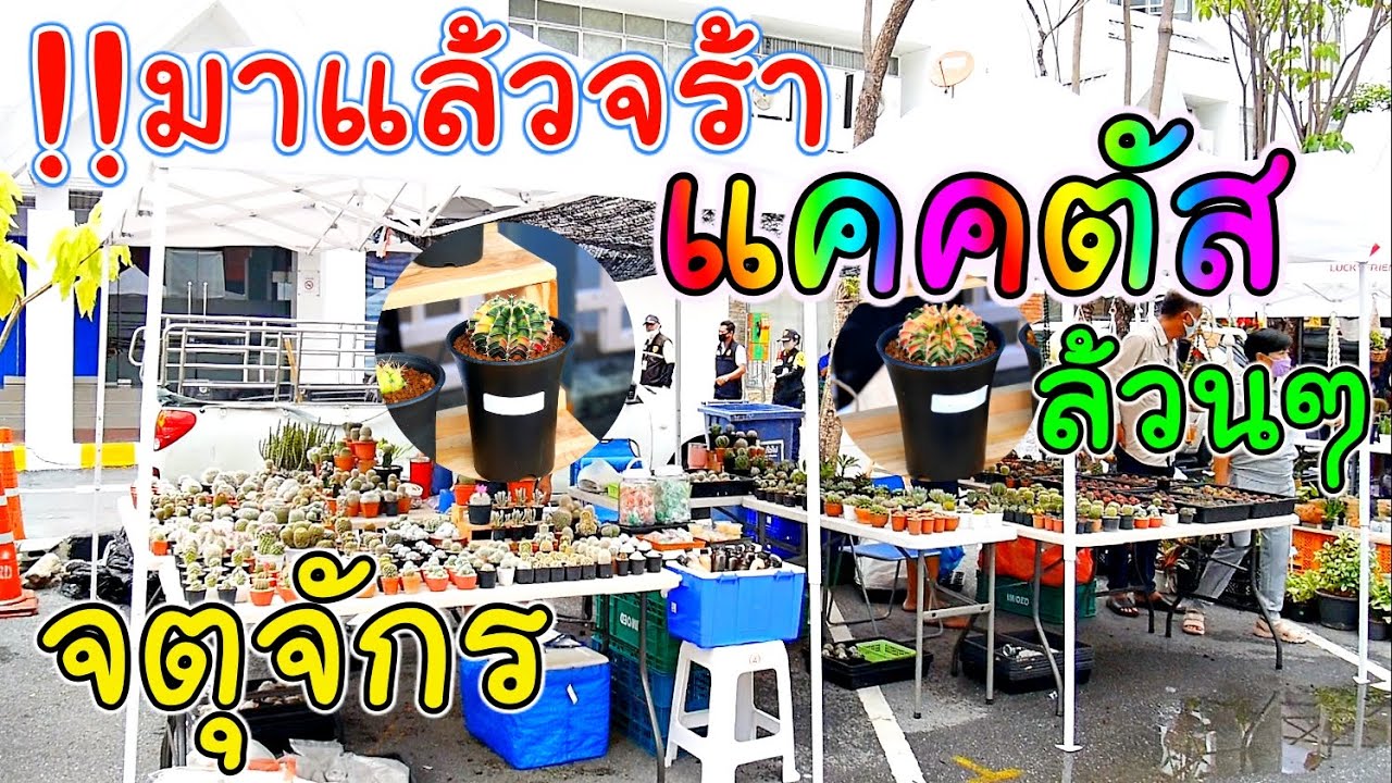 มาแล้วจร้า 