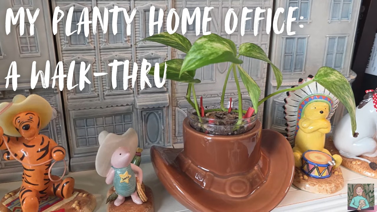 I Turned My Office Into A Mini Botanical Garden