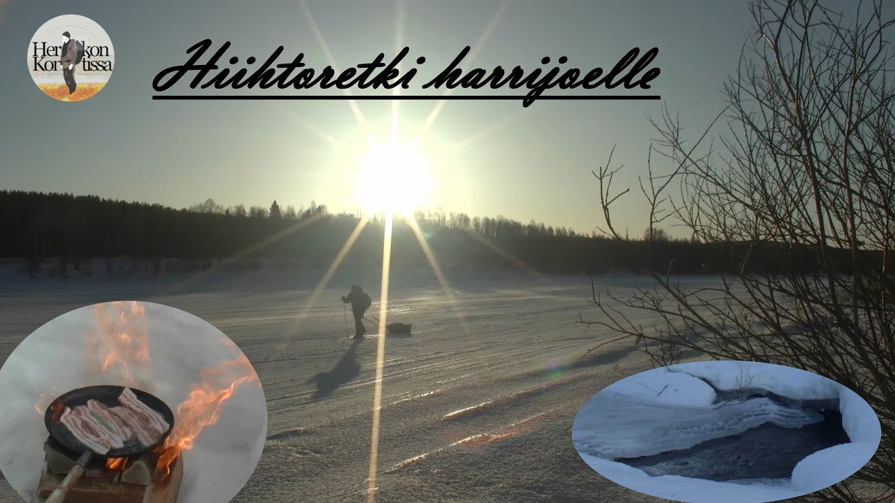 Hiihtoretki Harrijoelle