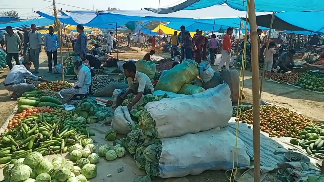 v13|Balijana Bazar|Largest Weekly market|Goalpara district, Assam