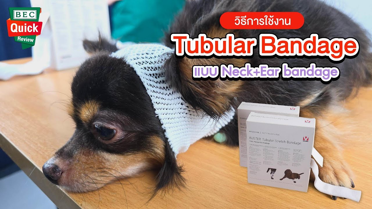 #BECQuickReview วิธีการใช้ Tubular Bandage แบบ Neck+Ear band