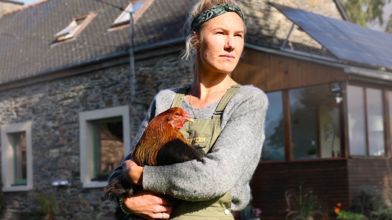 Ja, wir ziehen Hähne auf – und ja, wir werden sie schlachten 🐓
