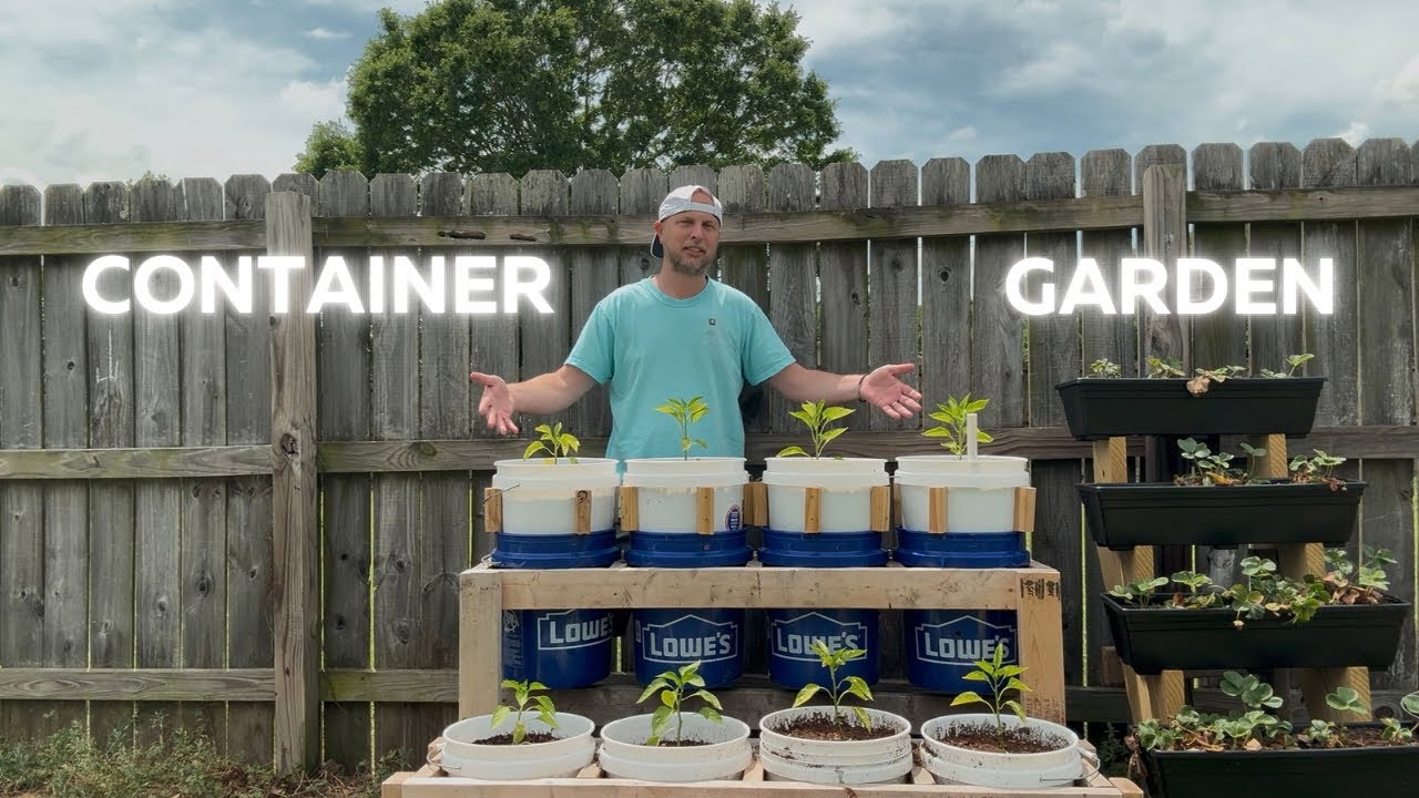 DIY Container Garden - Update