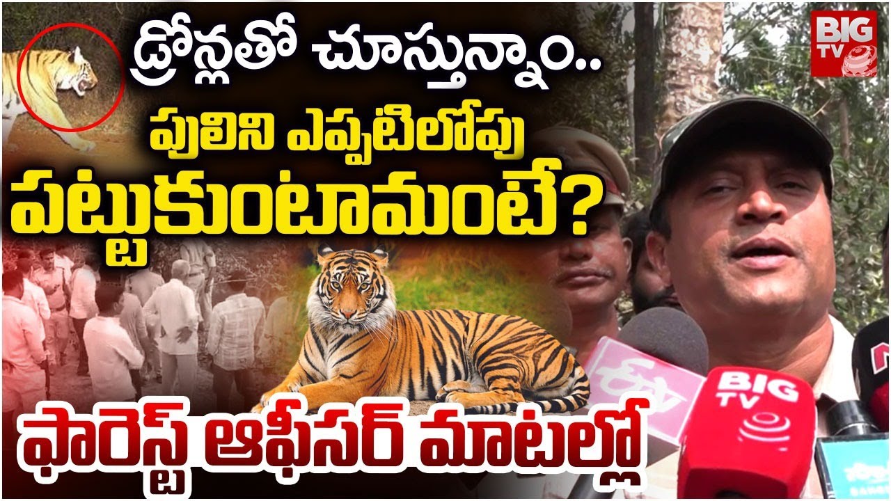 పులి దొరికినట్టే.. | Rajahmundry Tiger Latest Updates | Operation Tiger | Tiger on Road | BIGTV