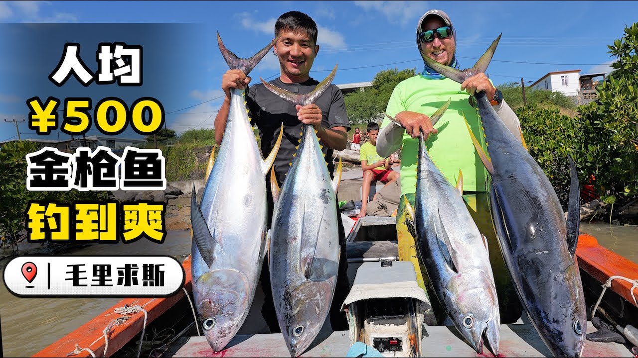 《毛里求斯》第4集：探索小海沟，收获好多长鼻子的大海货，隔天海钓金枪，又直接拉到手抽筋  #海钓 #钓金枪 #赶海 #潜水 #抓螃蟹 #抓龙虾 #毛里求斯 #毛里求斯 #渔猎  #黄鳍金枪