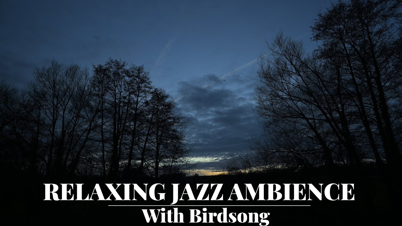 Jazz Ambience with Birdsong | Stormy Evening Nature Soundscape