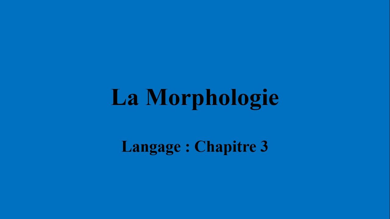 Langage, Chapitre 3 : La Morphologie