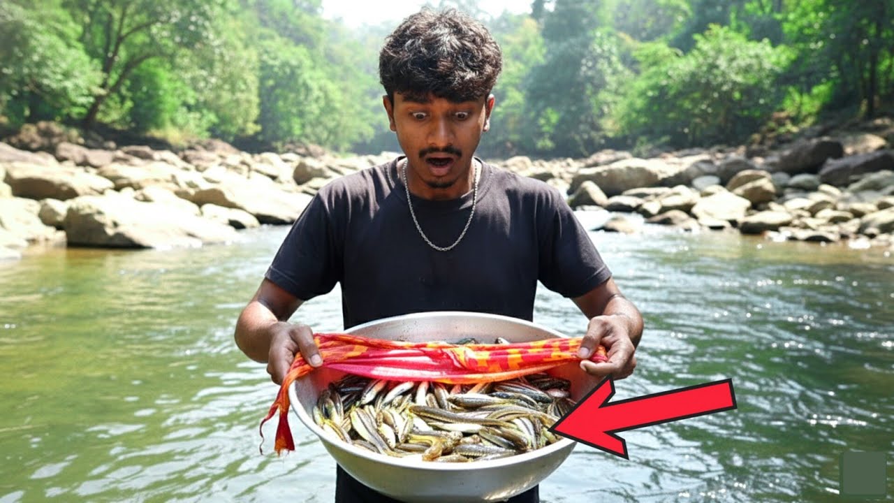 Plate Fishing Technique: Shocking Results! 😱Jungle River 2026 